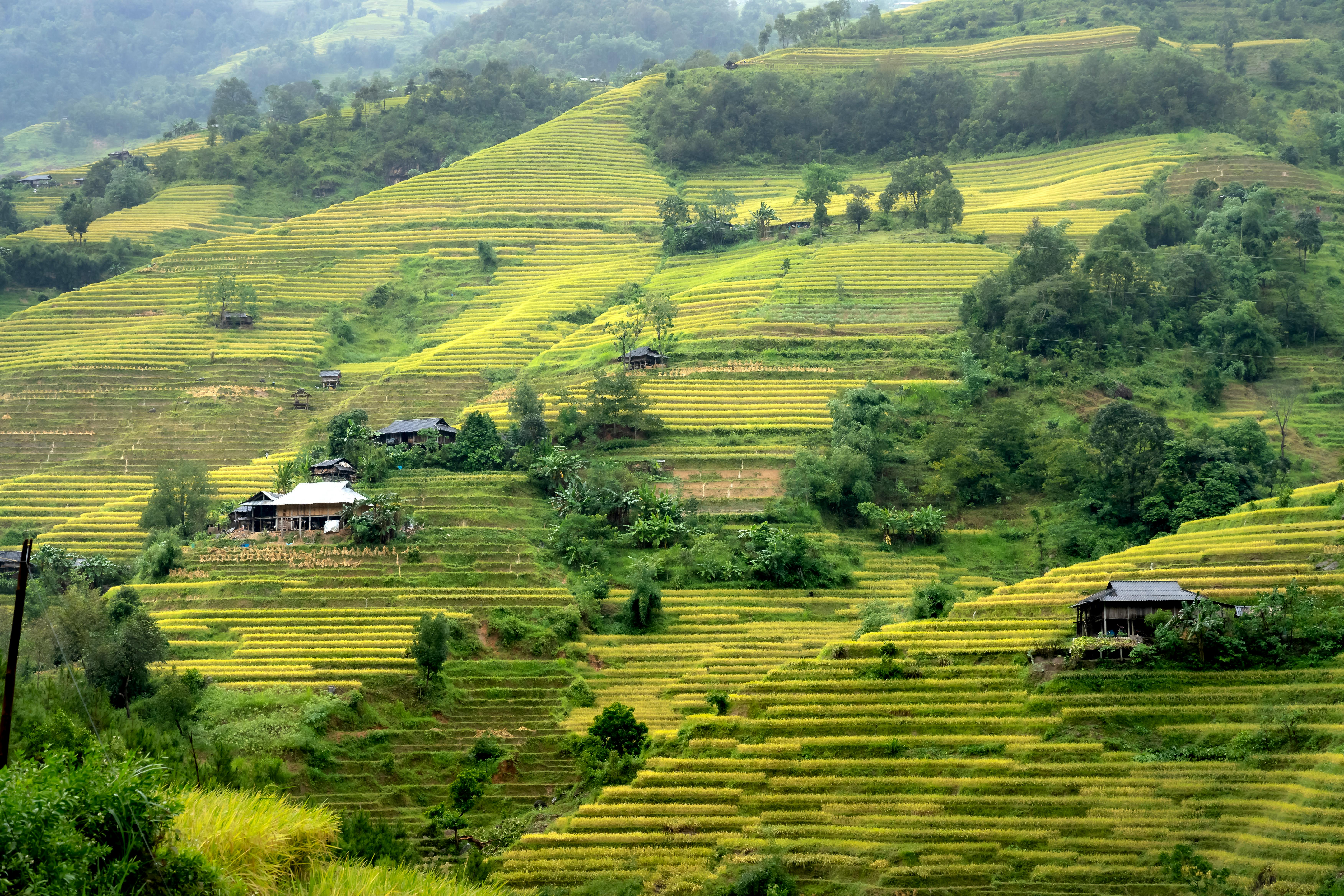 Our Farm