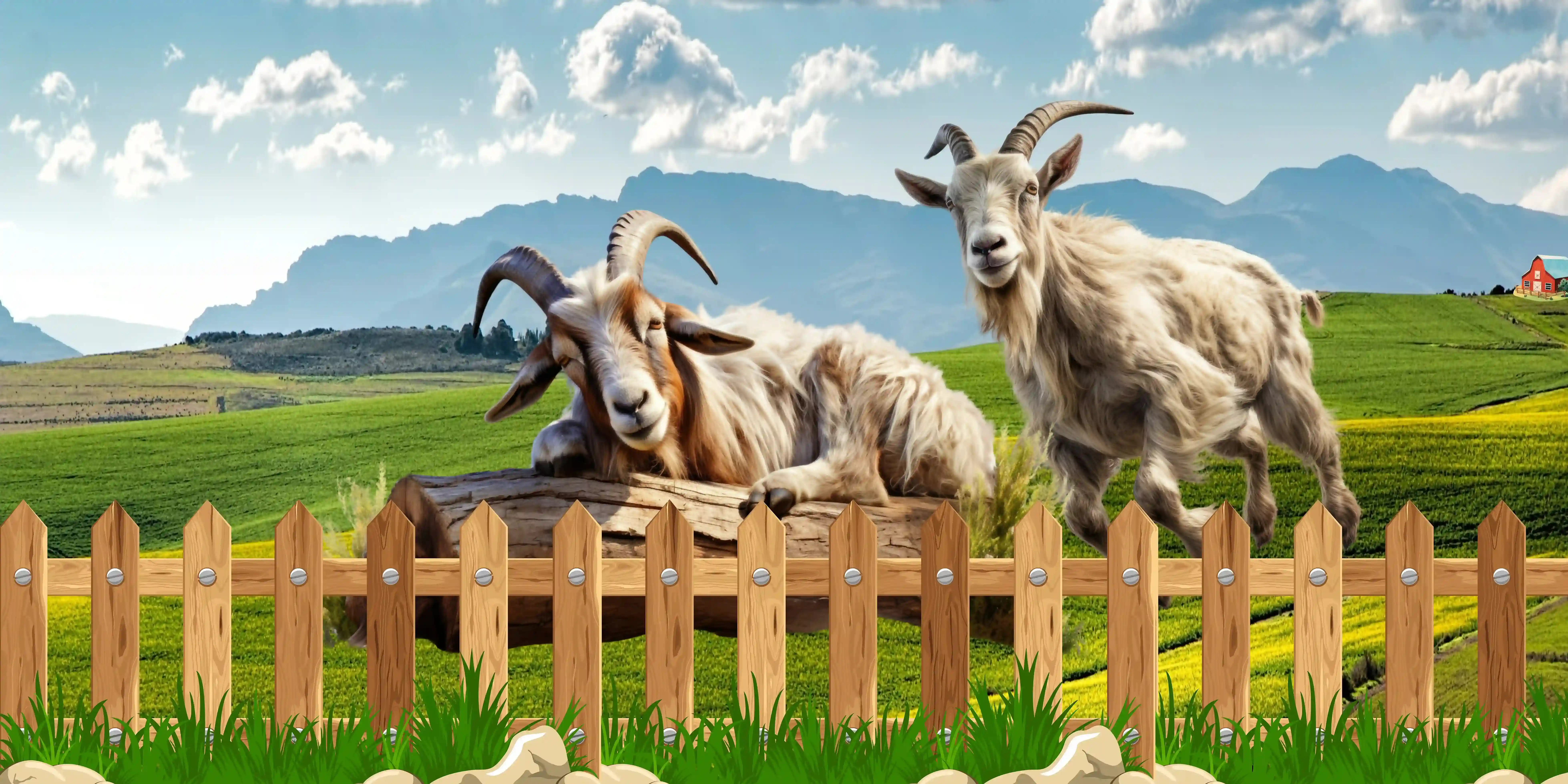 Garhwal Goats